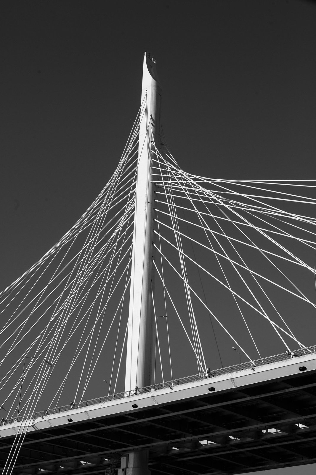 Cable-stayed bridge